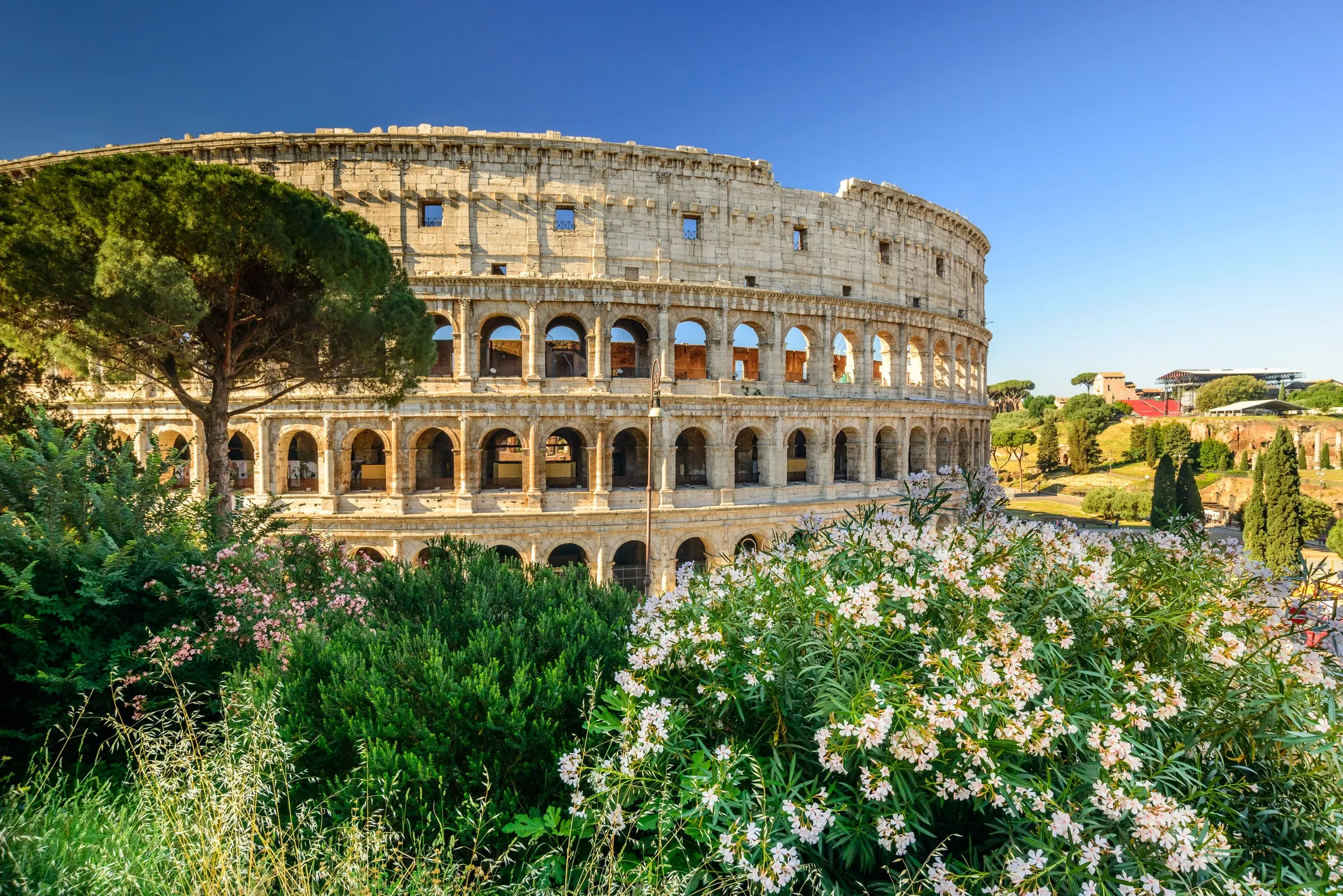 Photo of the back of the Colosseum in Rome, Italy. The sun makes the colours of the plants appear even more intense.