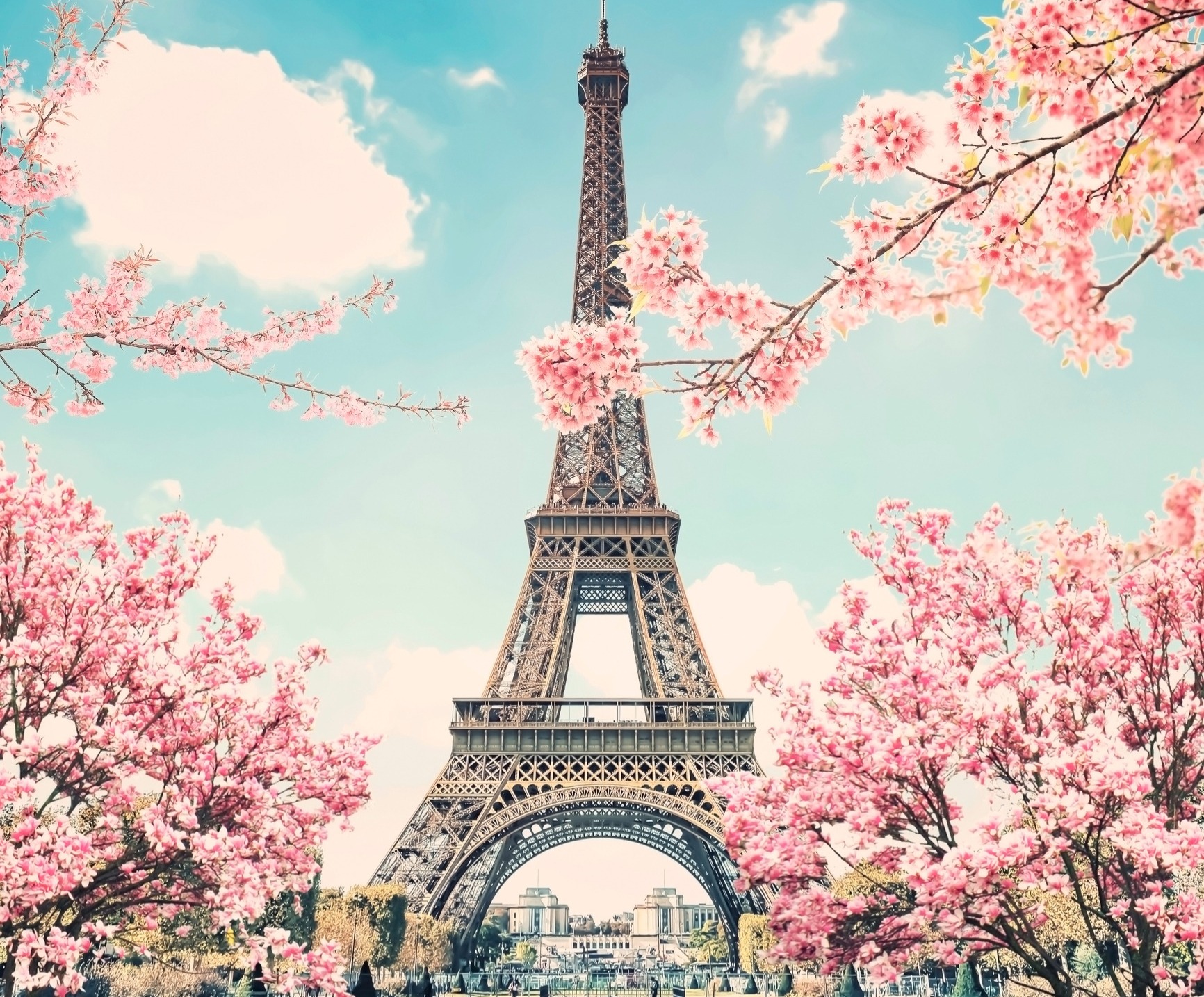 The Eiffel Tower in Paris in spring in the centre and branches with pink blossoms protruding into the picture from both sides.