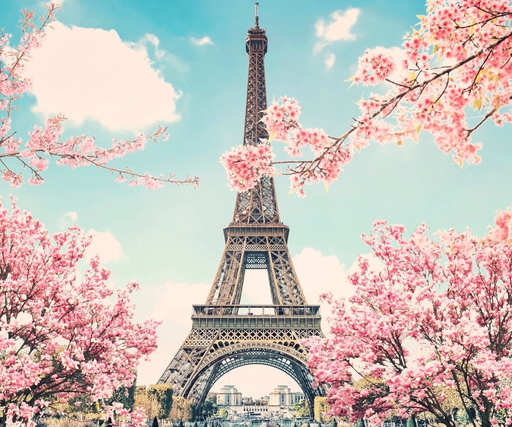 Der Eiffelturm in Paris im Frühling im Zentrum und Äste mit rosa Blüten, die von beiden Seiten ins Bild ragen.